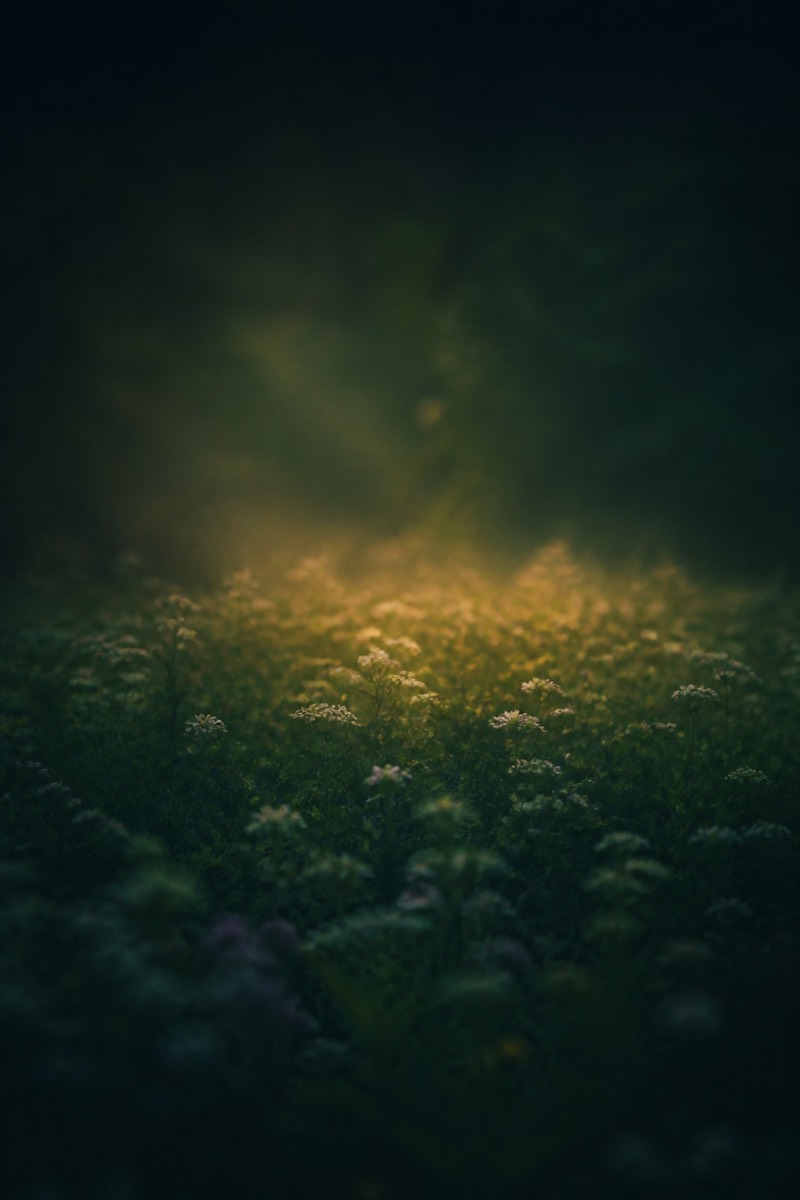 Meadow soundscape